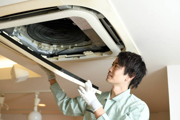 Best Emergency Air Duct Cleaning  in Inesville, GA